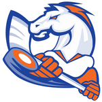Victoria Village Mustangs logo