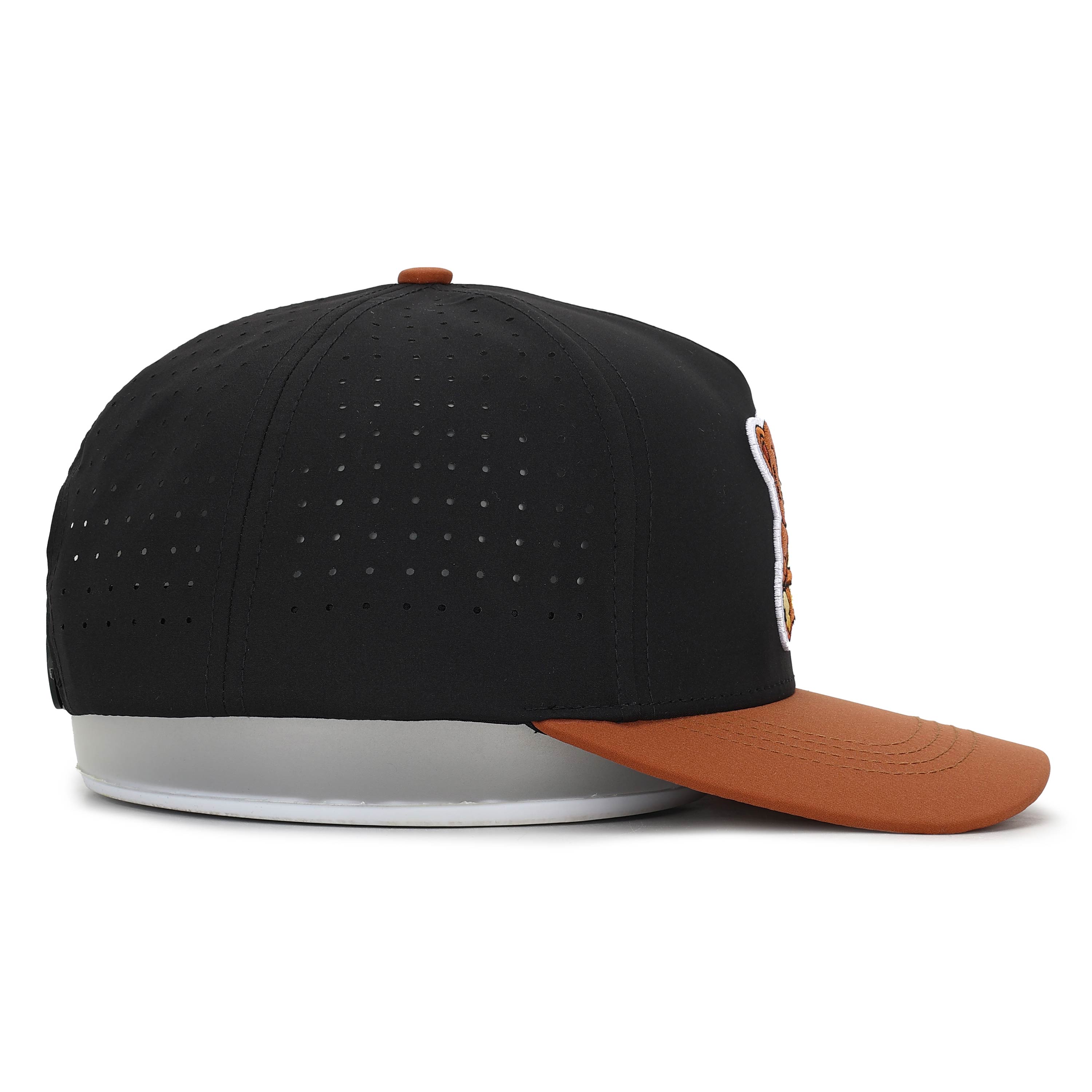 Teddy | GSW Caps Collection