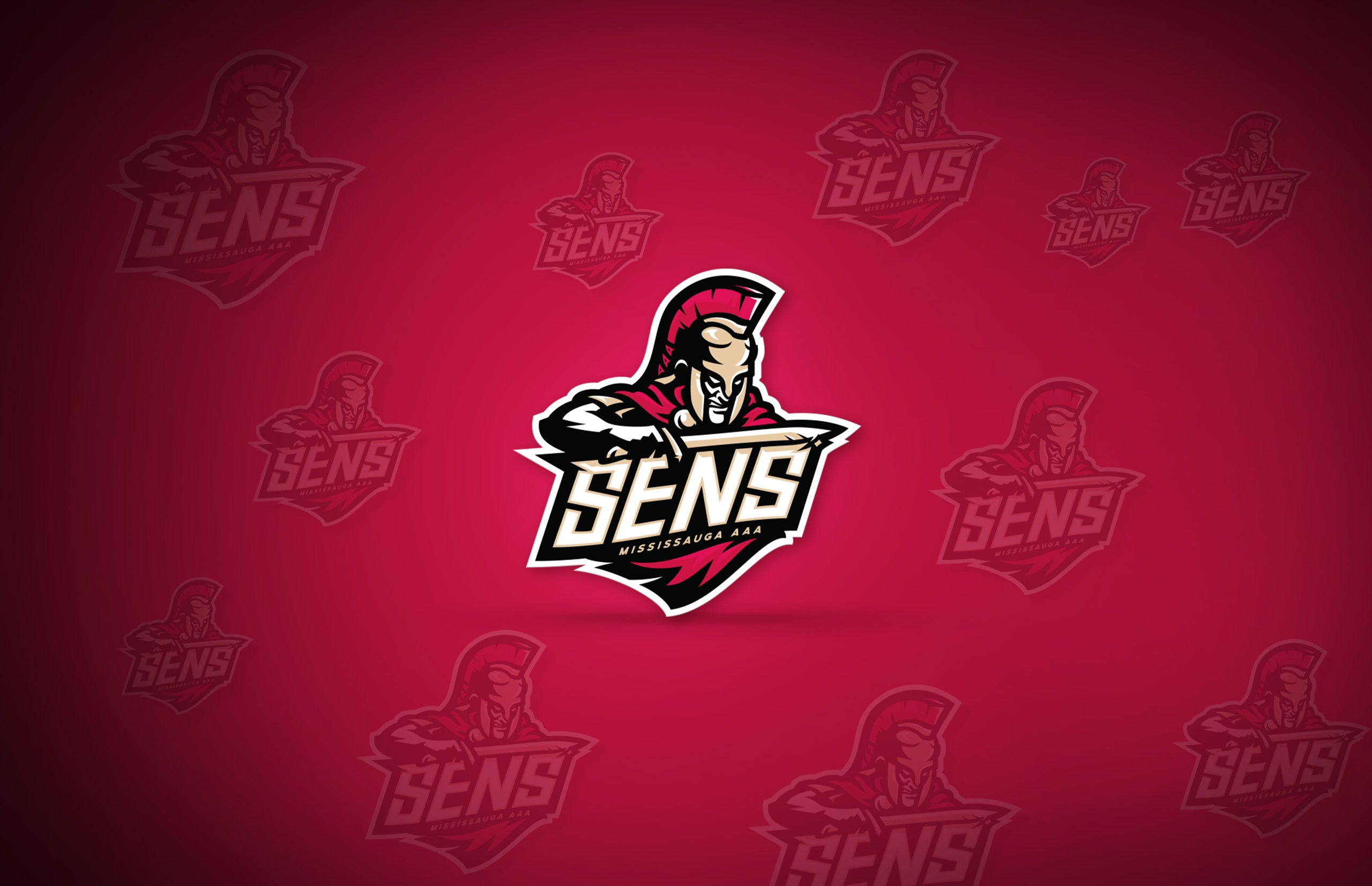 Mississauga Senators Team Collection