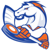 Victoria Village Mustangs logo