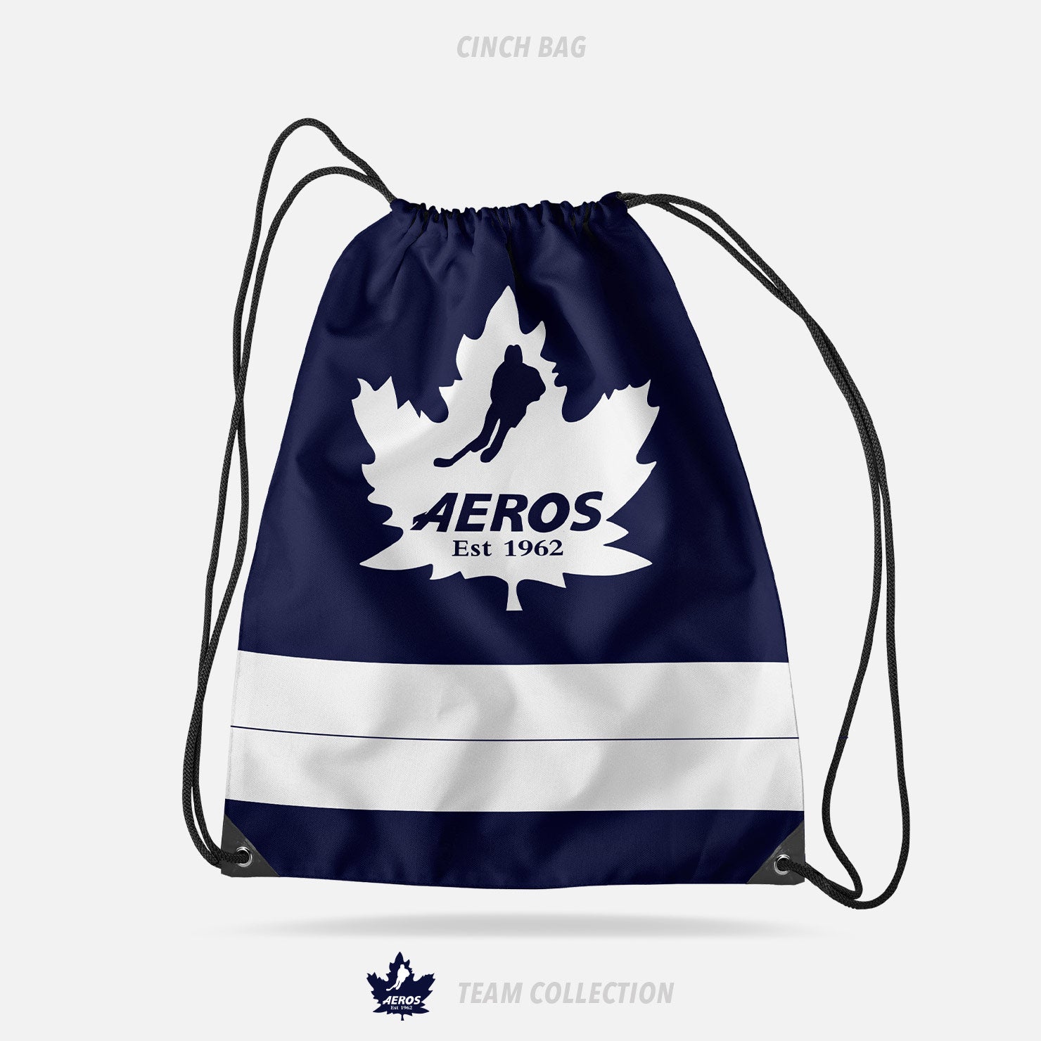 Toronto Aeros Cinch Bag