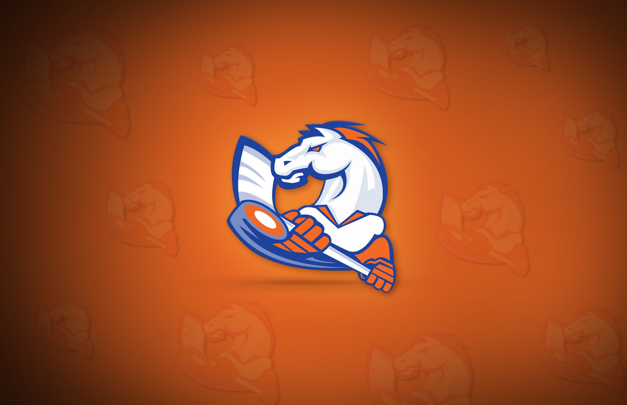 Victoria Village Mustangs Team Collection