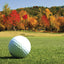Don Mills Flyers Golf Tournament Official Transportation Sponsor